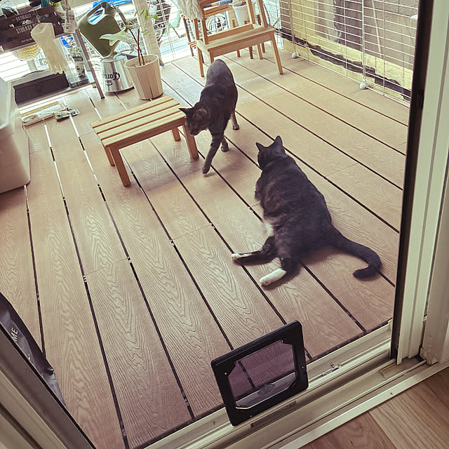 玄関/入り口/ウッドデッキのある暮らし/猫ドア網戸用/狭小住宅/猫と暮らす家...などのインテリア実例 - 2024-06-14 14:02:36