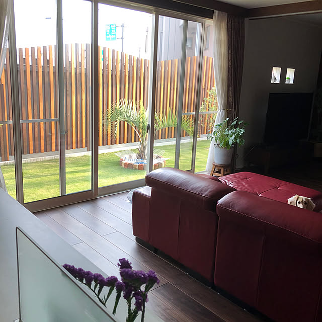 raeruさんの部屋