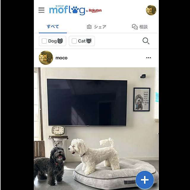 mocoさんの実例写真