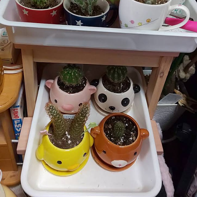 mayumayumakomakoさんの実例写真