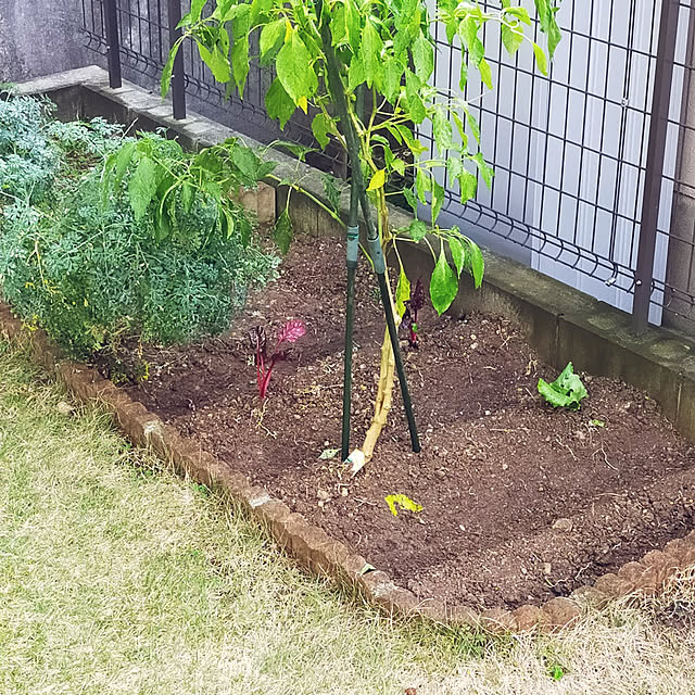 masaさんの実例写真