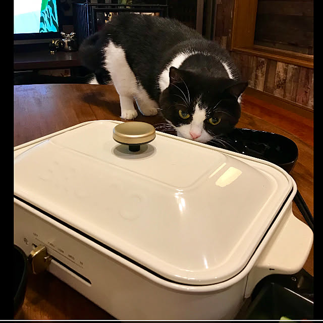 butachanさんの実例写真