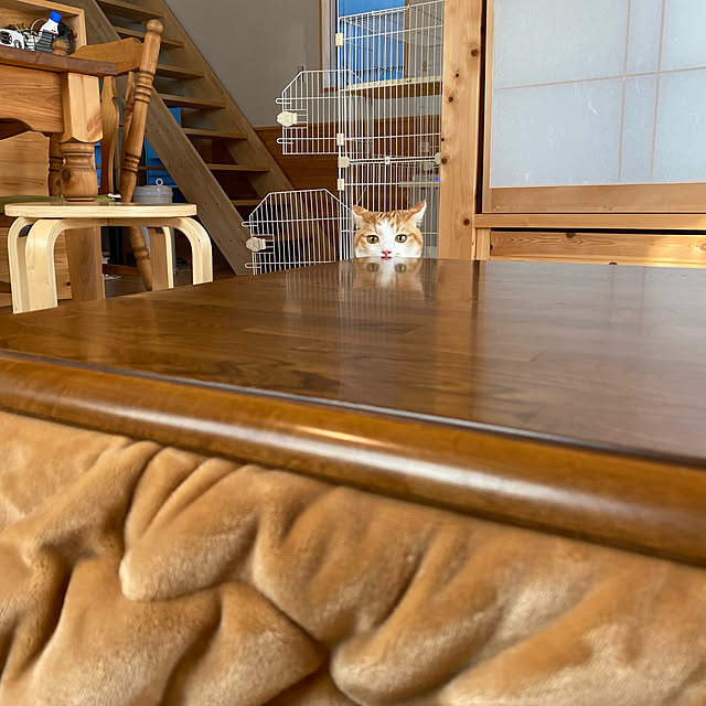 senbei.sakuramochiさんの実例写真