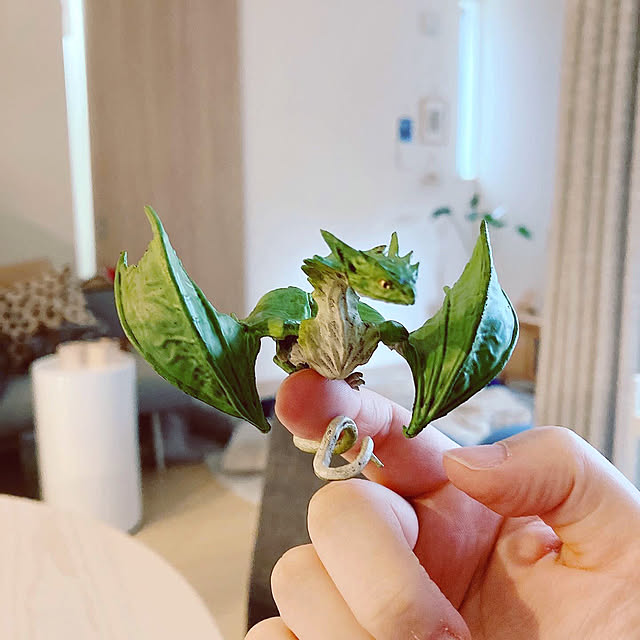 suna_kitsuneさんの実例写真