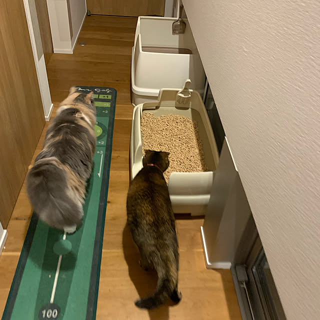 marikoさんの実例写真