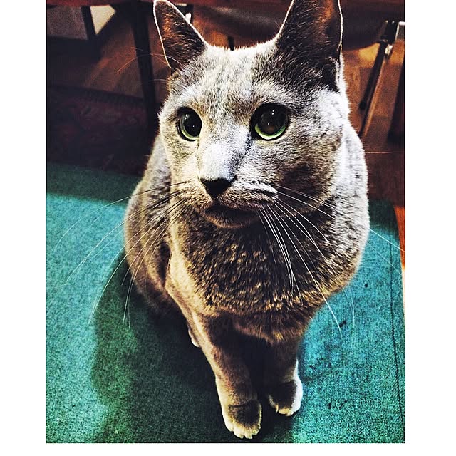 figue.さんの実例写真