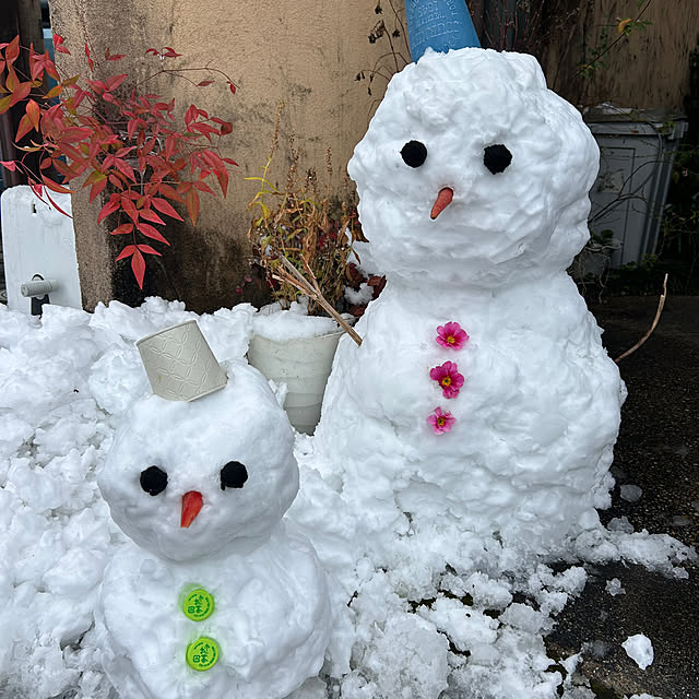 fumikoiさんの部屋