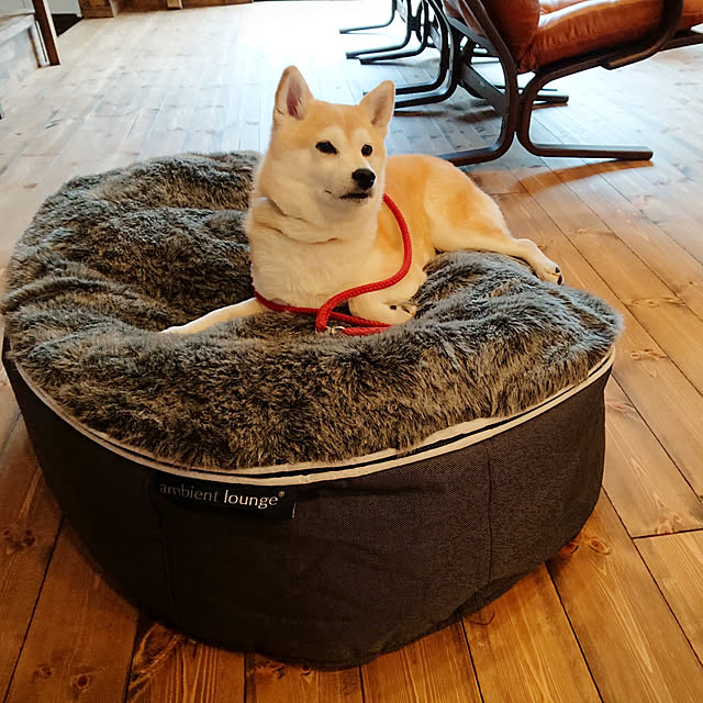 shibayumeさんの実例写真