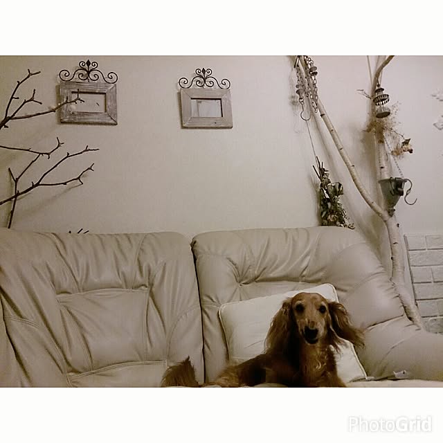 deco-ranさんの実例写真