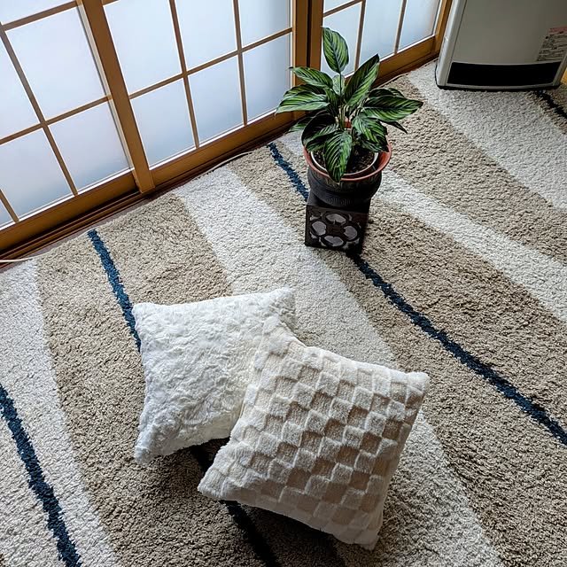 Renさんの実例写真