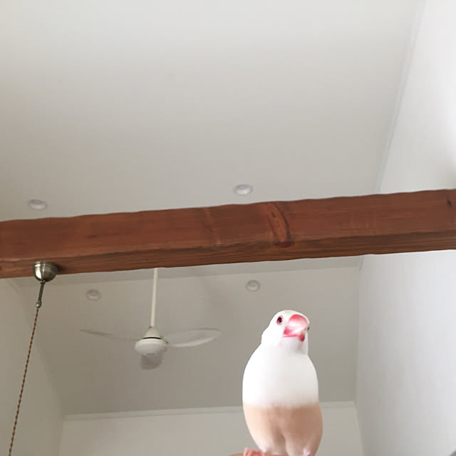 Momoさんの実例写真