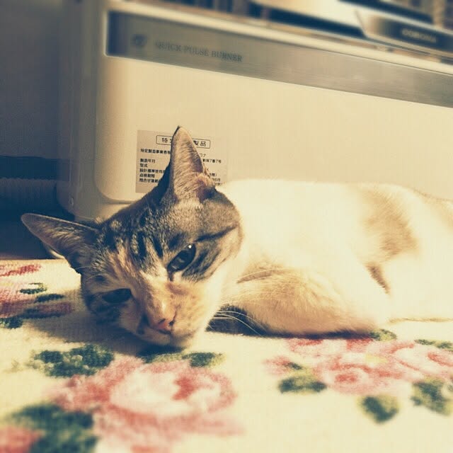 lemonさんの実例写真