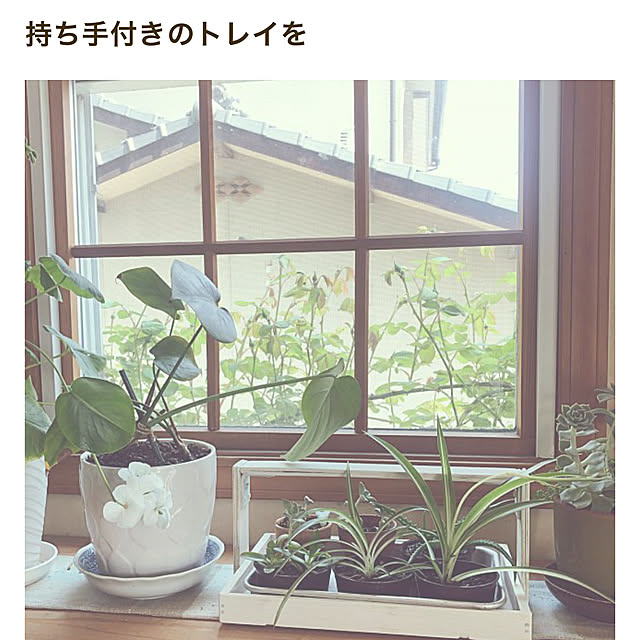 jewel-ynmさんの実例写真