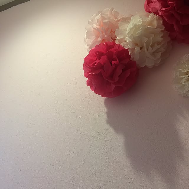 Yuuさんの実例写真