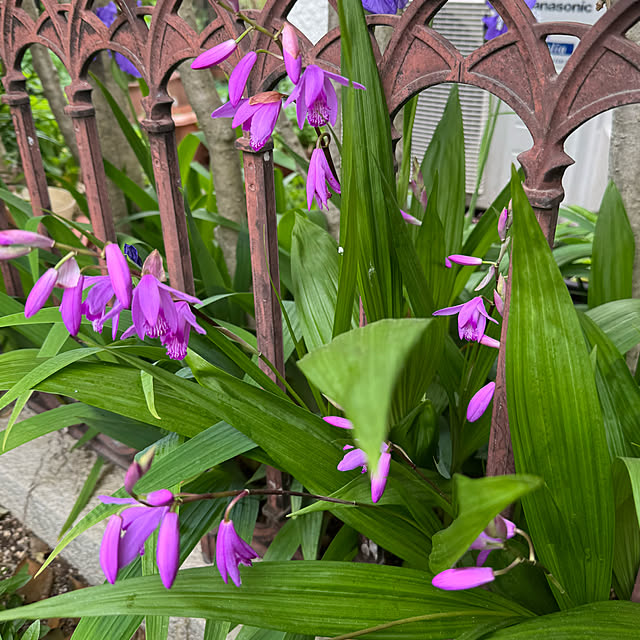 mamizaさんの部屋