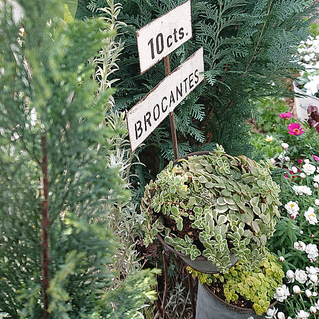 yellowflowerさんの実例写真