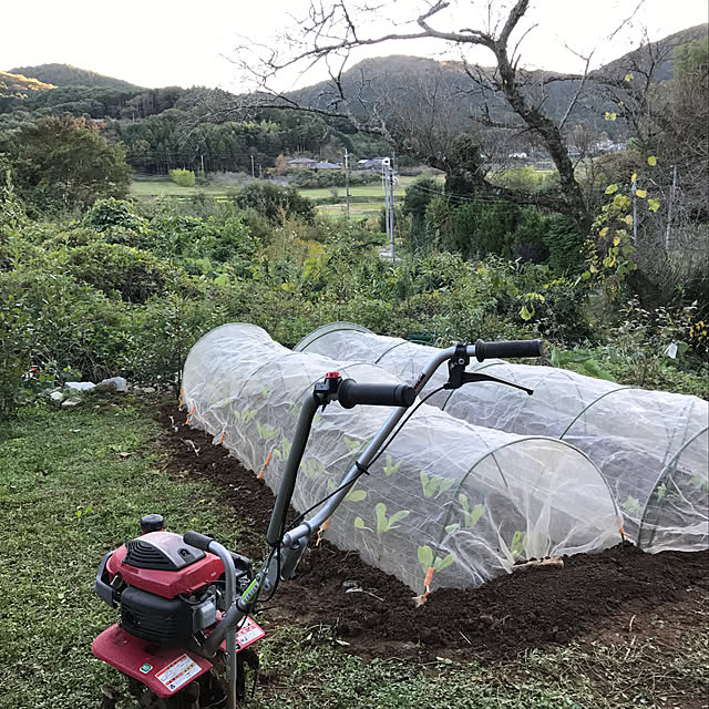 sakurasakuさんの実例写真