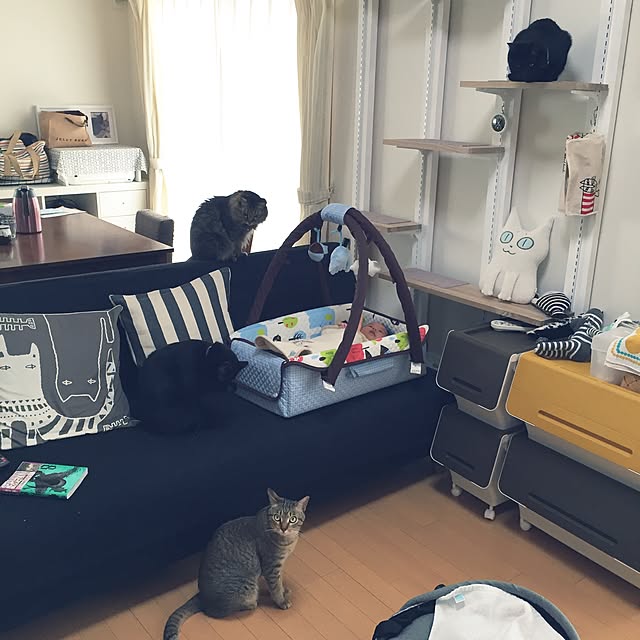 yuki0511さんの実例写真