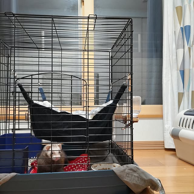 chokocreamさんの実例写真