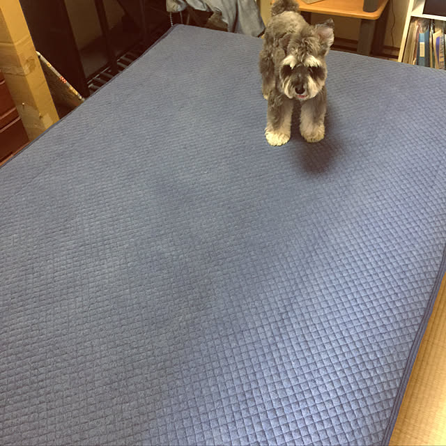 chihakantaさんの実例写真