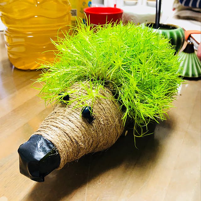 chachaさんの実例写真