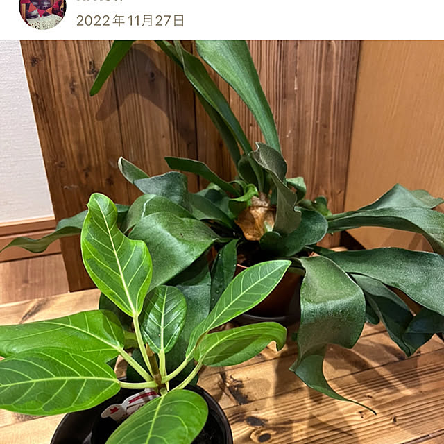krkc..さんの部屋