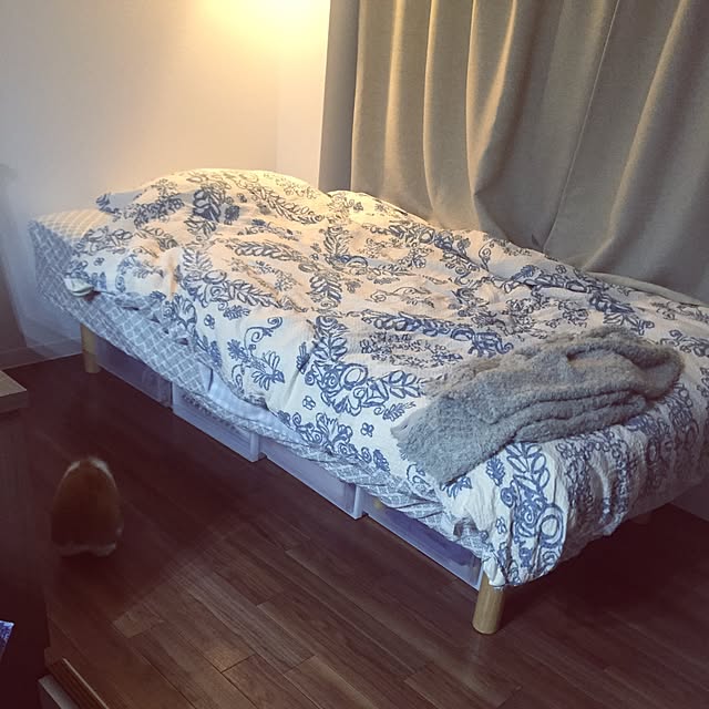 kanonさんの実例写真
