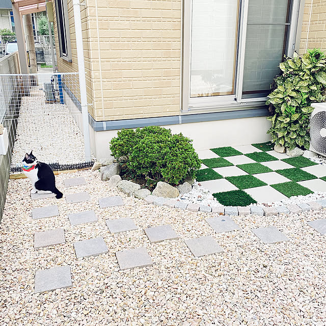 moolさんの実例写真