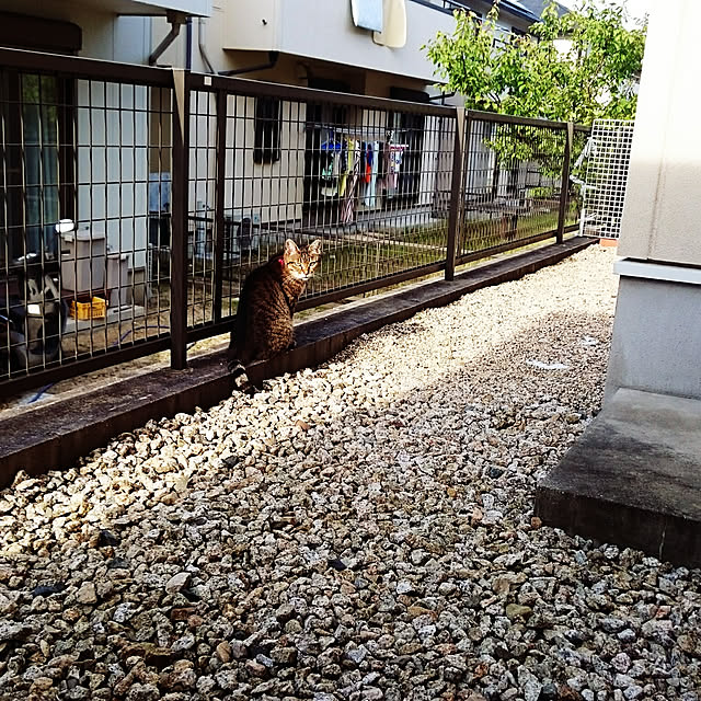 lilyさんの実例写真