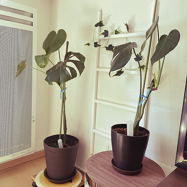 R.S.Kさんの実例写真