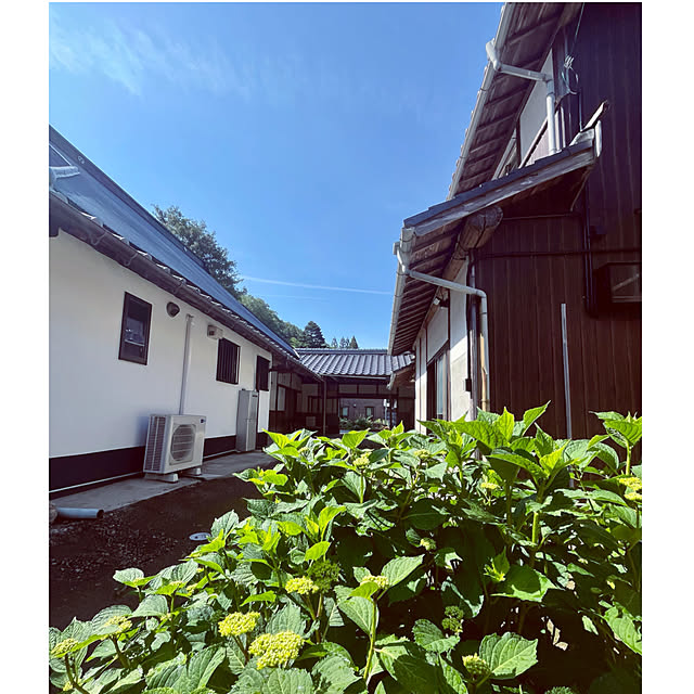 cotaさんの部屋