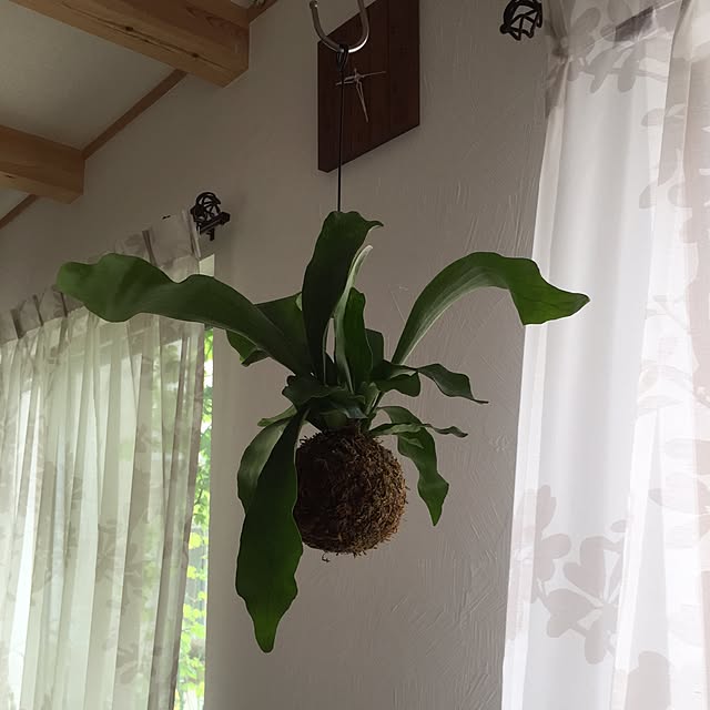 MAMIXBAGさんの実例写真