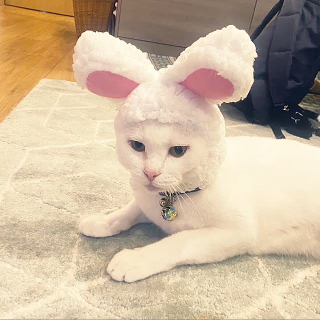 hanaさんの実例写真