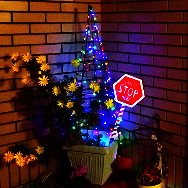 お花のある暮らし/キラキラ/2020年/クリスマスツリー/フライングタイガーの雑貨...などのインテリア実例 - 2020-12-11 18:54:36