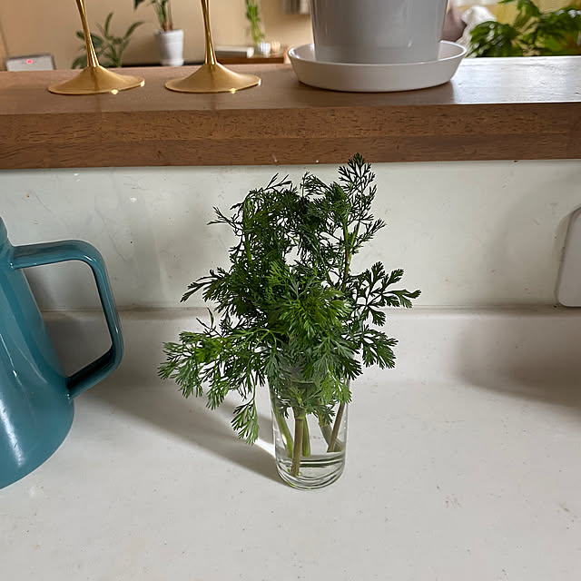 yukoさんの部屋