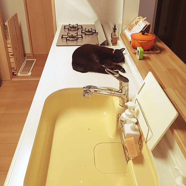 Kaoriさんの実例写真