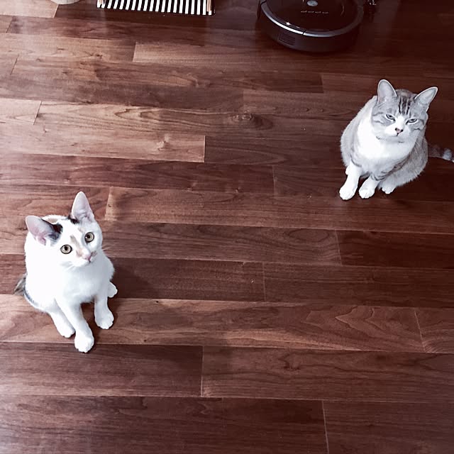 biblicatさんの実例写真