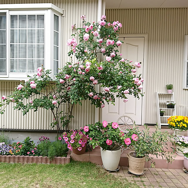 fleur-mamanさんの実例写真