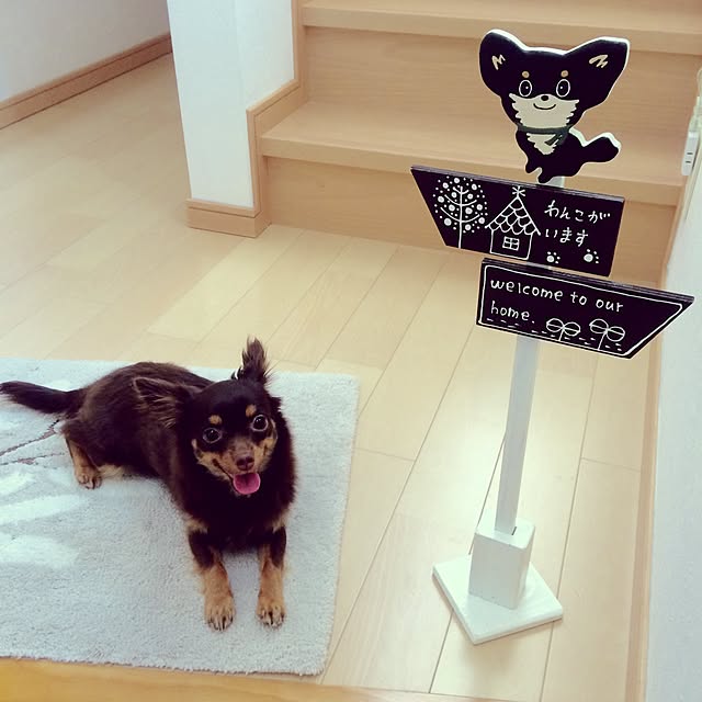 miyuさんの実例写真