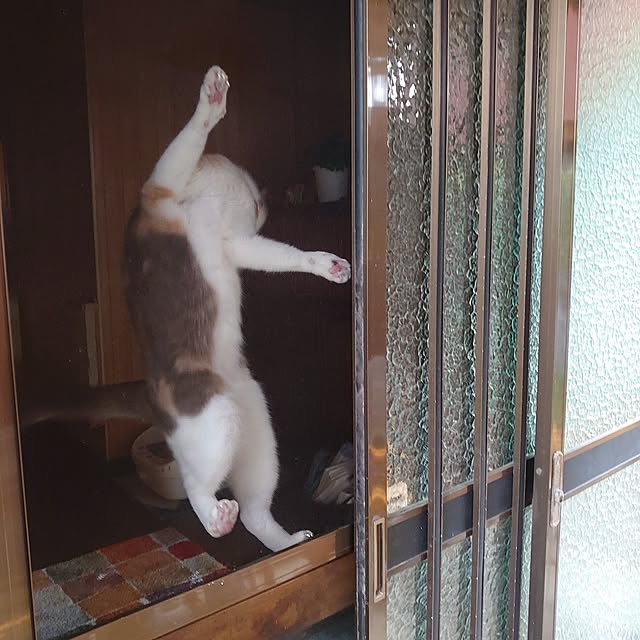 fukuさんの実例写真