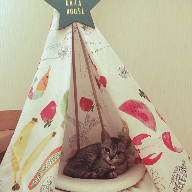 ayumiさんの実例写真