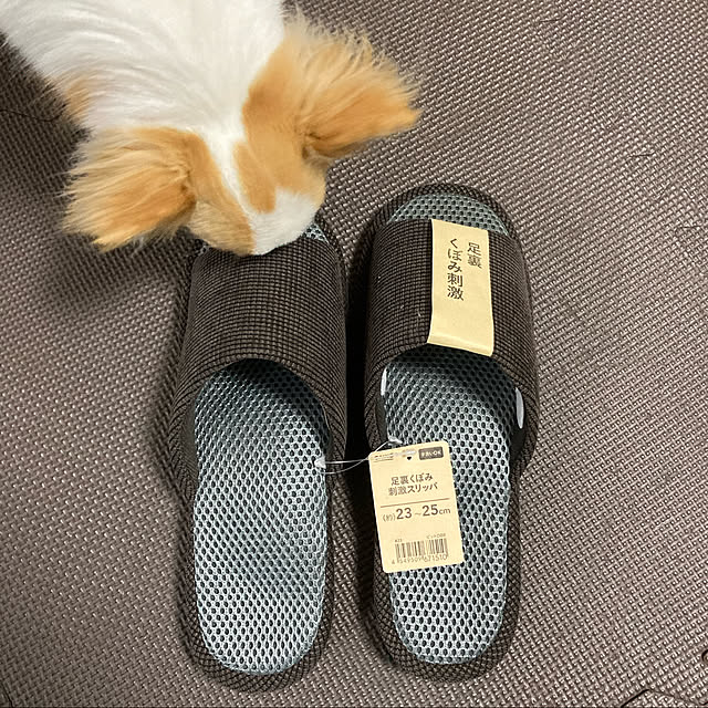 toratanさんの実例写真