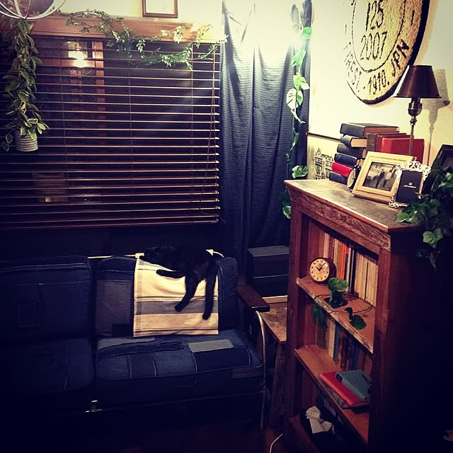 Naoki.さんの実例写真