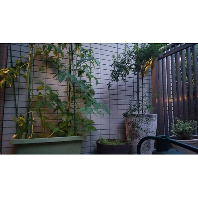 yuiticさんの実例写真