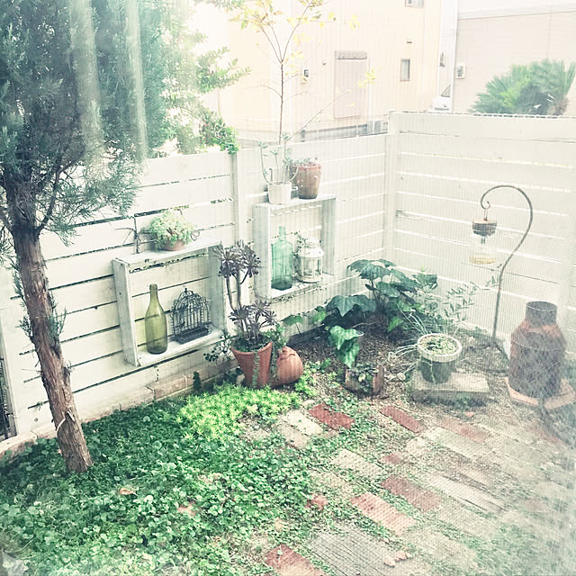 kazuさんの実例写真