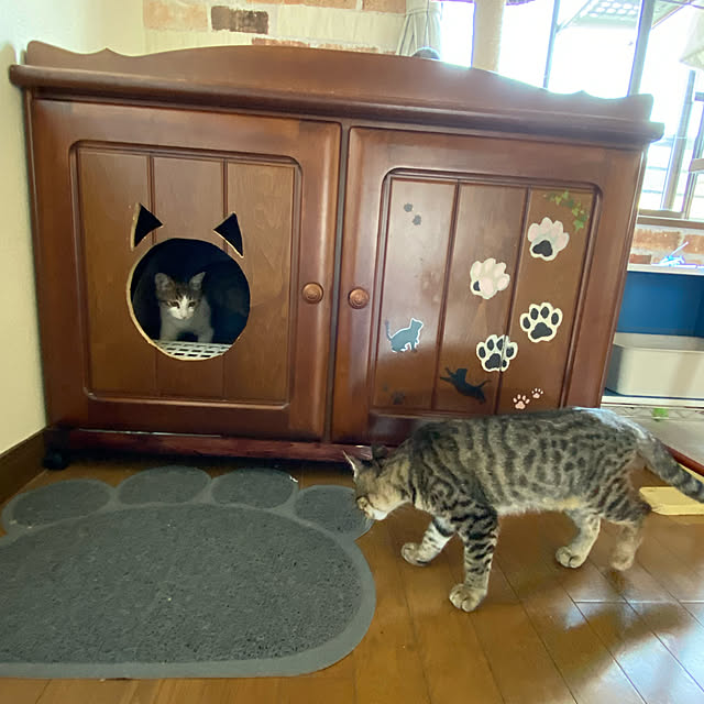 実例写真