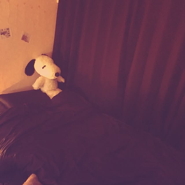 mugiさんの実例写真
