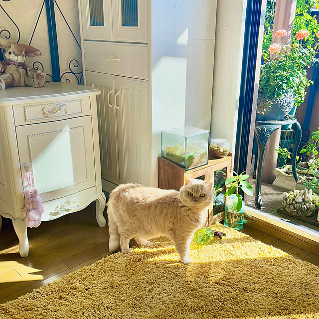 naokoさんの部屋