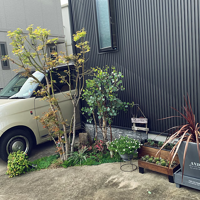 Tomokoさんの実例写真