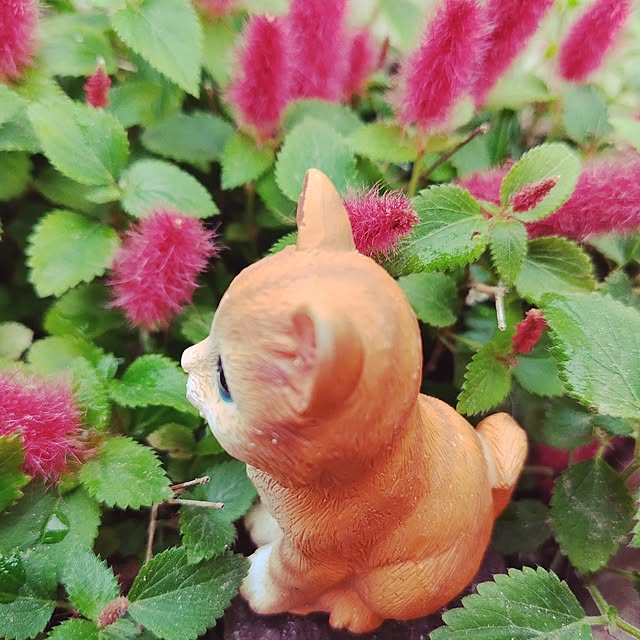 katさんの部屋